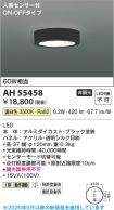 AH55458