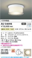 AU54098