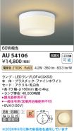 AU54106