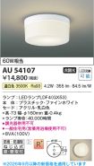 AU54107