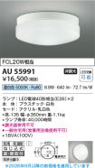 AU55991
