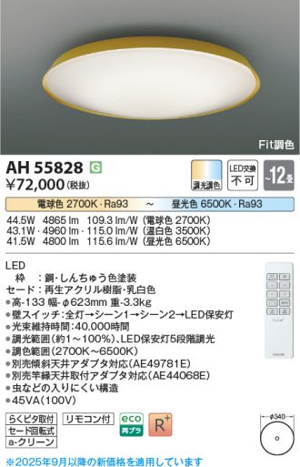 AH55828