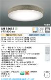 AH55635