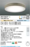 AH55637