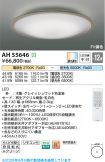 AH55646