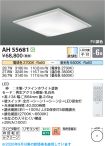AH55681