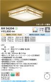 AH56204