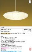 AP50313
