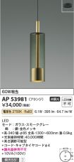 AP53981