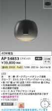 AP54853