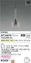 AP54879