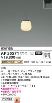 AP55571