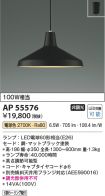 AP55576