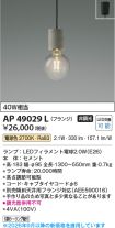 AP49029L