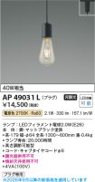 KAP49031L