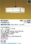 KAP50301
