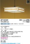 AP50309