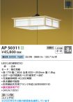 KAP50311