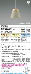 AP51087