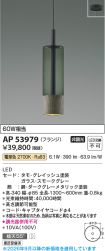 AP53979
