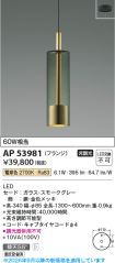 AP53981
