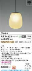 AP54825
