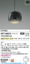 AP54853
