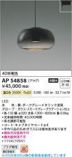AP54858