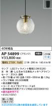 AP54899