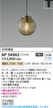 AP54902