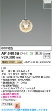 AP54956