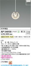AP54958