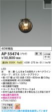 AP55474