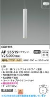 AP55519