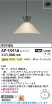 AP55538