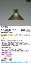 AP55543