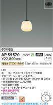 AP55570
