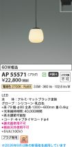 AP55571