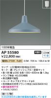 AP55580