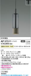 AP57311