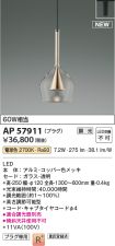 AP57911