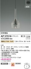 AP57918