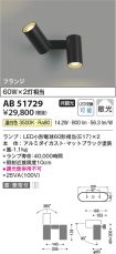 AB51729