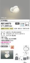 AB54973
