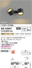 AB54987