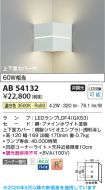 AB54132