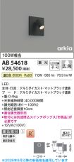 AB54618