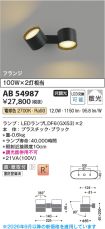 AB54987