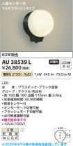 AU38539L
