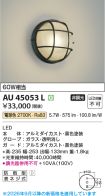 AU45053L